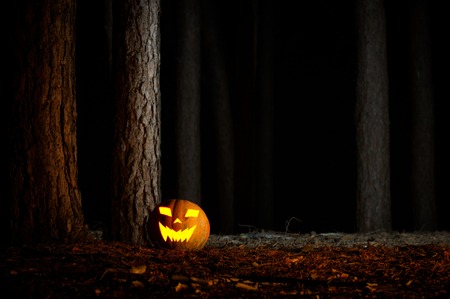 Halloween Pumpkin In A Forest At Nightの写真素材