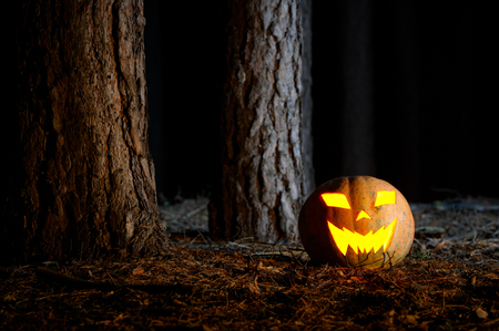 Halloween Pumpkin In A Forest At Nightの写真素材