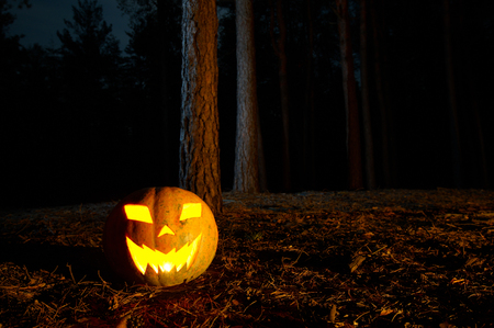 Halloween Pumpkin In A Forest At Nightの写真素材