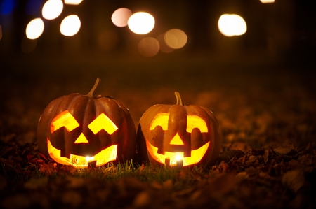 Two Kind Halloween Pumpkins in the parkの写真素材