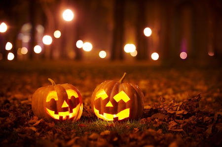 Two Kind Halloween Pumpkins in the parkの写真素材