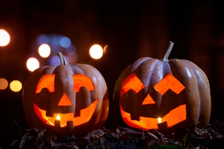 Two Halloween Pumpkins in the parkの写真素材