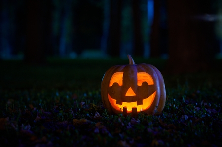 Halloween Pumpkin in the parkの写真素材