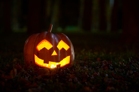 Halloween Pumpkin in the parkの写真素材