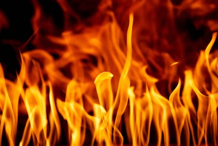 Fire flames backgroundの写真素材