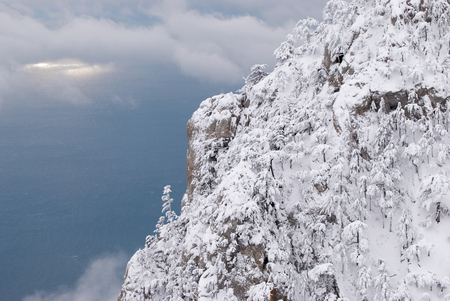 Pine trees in winter mountainsの写真素材