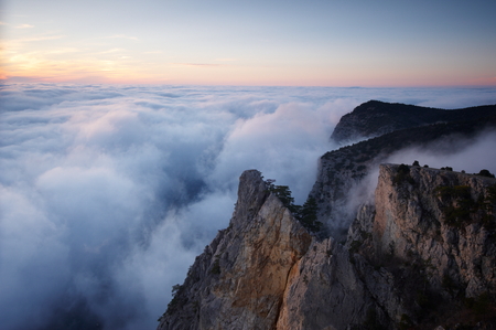 View of misty fog mountains - rock with pine treeの写真素材
