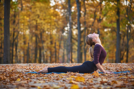 Beautiful young woman practices yoga asana upward facing dog on the wooden deck in the autumn park.の写真素材