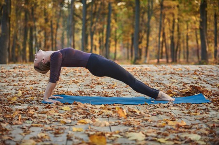 Beautiful young woman practices yoga asana Purvottanasana Upward Plank Pose on the wooden deck in the autumn park.の写真素材