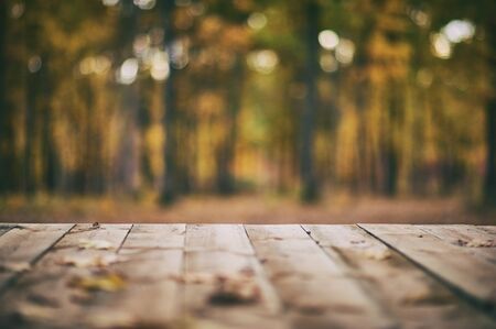 Wooden floor terrace over autumn forest backgroundの写真素材
