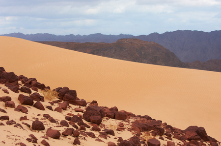 Valley in the Sinai desert with sand dunes and mountainsの写真素材