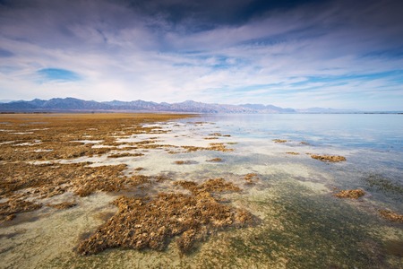 Low tide in the Nabq national park.の写真素材