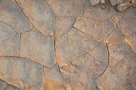 top view cracked earthの写真素材