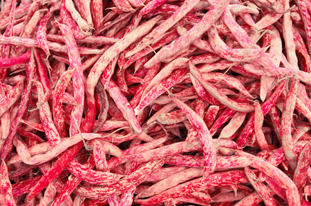 red fresh Beans Background