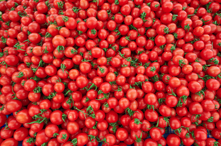 Group of fresh tomatoesの写真素材