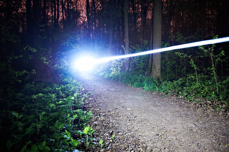 blurred light trail of a riding bike at night in the forestの写真素材