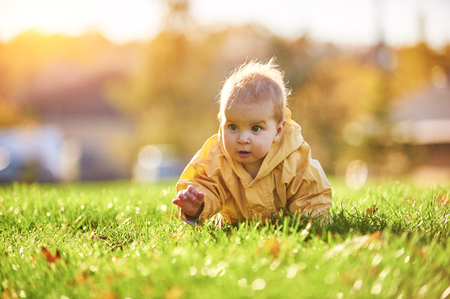 little baby boy crawling among the fallen leaves on the green lawn at sunny dayの写真素材