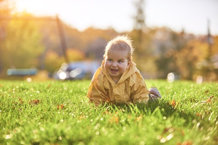 little baby boy crawling among the fallen leaves on the green lawn at sunny dayの写真素材