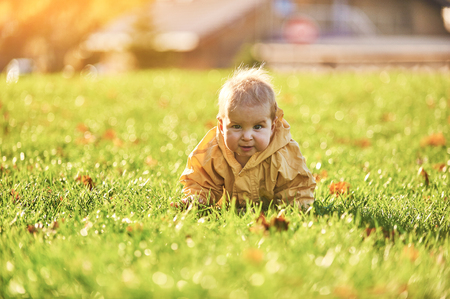 little baby boy crawling among the fallen leaves on the green lawn at sunny dayの写真素材