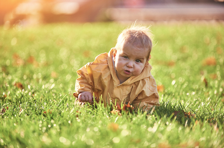 little baby boy crawling among the fallen leaves on the green lawn at sunny dayの写真素材