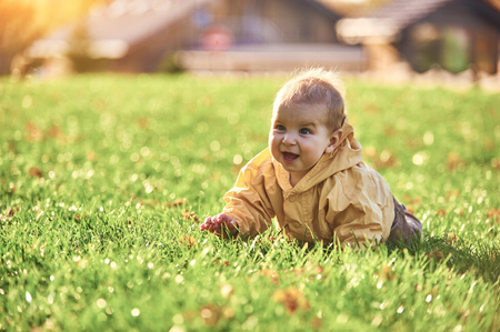 little baby boy crawling among the fallen leaves on the green lawn at sunny dayの写真素材