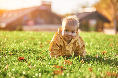 little baby boy crawling among the fallen leaves on the green lawn at sunny dayの写真素材