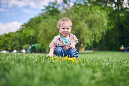 Toddler sitting on the green lawn and looks at the yellow dandelions. Sunny day.の写真素材
