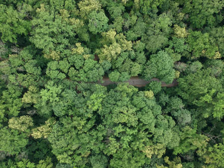 Aerial view with a drone of a railway in the green forest.