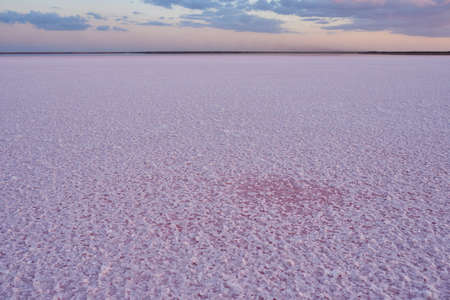 Beautiful view of a pink salt lake at sunset. Azov Ukraine.の写真素材