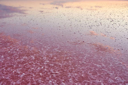Beautiful view of a pink salt lake at sunset. Azov Ukraine.