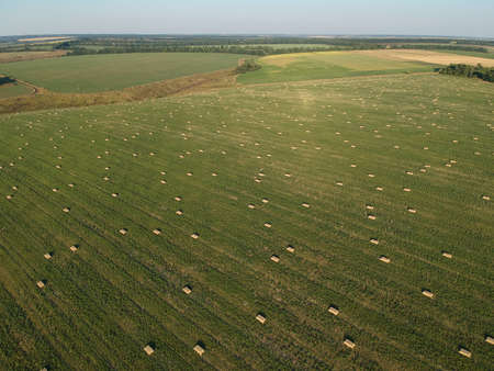aerial view to stacked hay on the wheat field under sky. Ambrosia field. Drone photography.