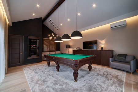 modern billiard room with a beautiful table and large windows. Nobody.
