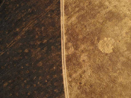 Scorched earth top view. Photo from a drone.の写真素材
