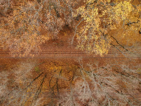 Aerial view with a drone of a railway in the autumn forest.