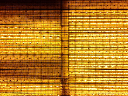 Glowing glasshouse ecosystem at night. Aerial view from a drone. No people.の写真素材