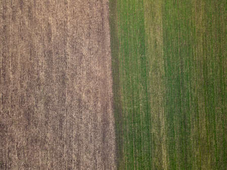 Aerial view of a two agriculture fields in countryside on a spring day. Drone shot, no people