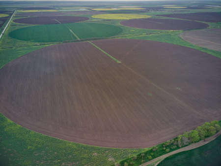 green field in early spring aerial drone view
