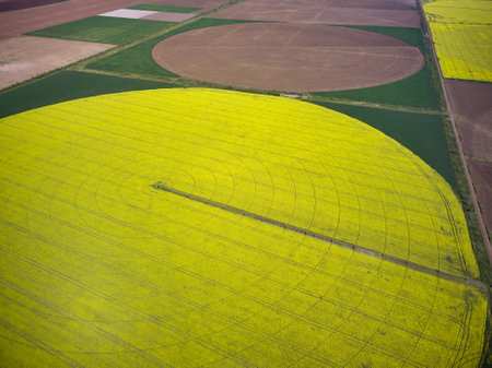 Center pivot irrigation system on a yellow rapeseed field aerial drone view