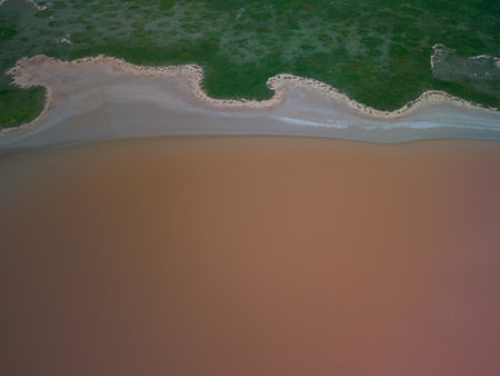 Aerial top view of a pink salt lake. Azov Ukraineの写真素材