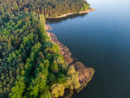 Aerial view on turquoise Lake and green forest on the bayの写真素材