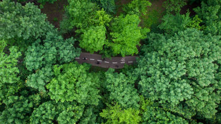Bike Road through the summer green forest, Aerial viewの写真素材