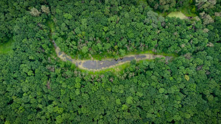 Aerial view over the river which is on the green forest. drone photo