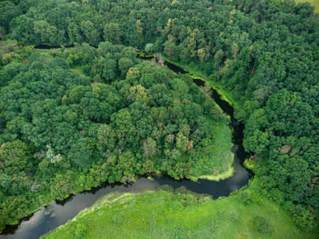 Aerial view over the river which is on the green forest. drone photo