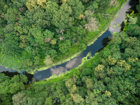 Aerial view over the river which is on the green forest. drone photoの写真素材