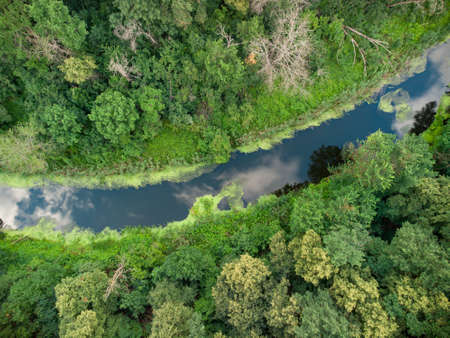 Aerial view over the river which is on the green forest. drone photo