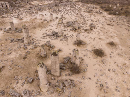 Aerial top view of Pobiti Kamani, The Stone Forest Natural Reserve near Varna in Bulgaria