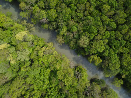 Aerial view over the river which is on the green forest.