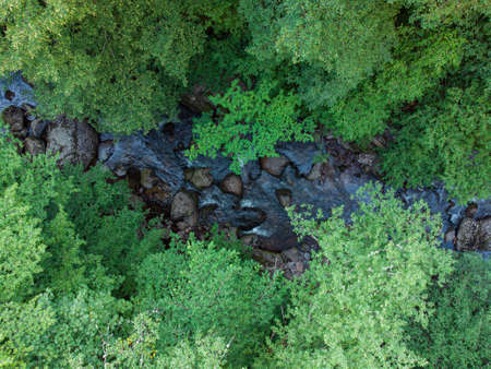 Aerial view of a stream in the forest in Rhodope Mountains near the town of Devin.の写真素材
