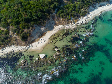 Aerial view of a beautiful beach with a forest and rocks.