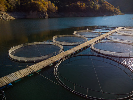 trout fish farm in the river aerial viewの写真素材